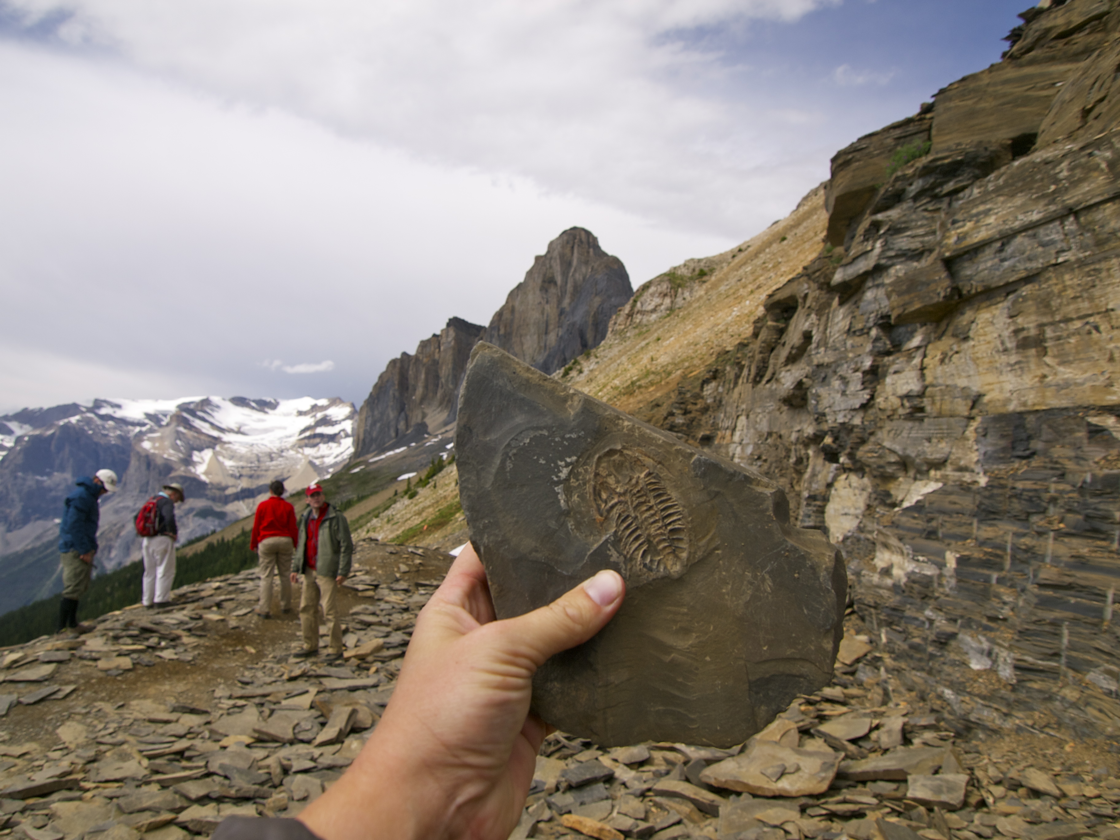  Kanadanın Britaniya Kolumbiyası əyalətində yerləşən Burqes Şeyl fosil yatağı